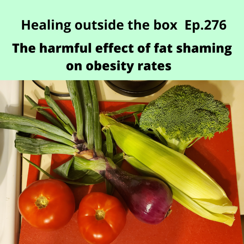 hotb-276-the-harmful-effect-of-fat-shaming-on-obesity-rates-healing